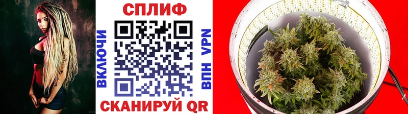 Продажа наркотиков Луза ГАШИШ Конопля COCAIN A PVP Меф мяу мяу