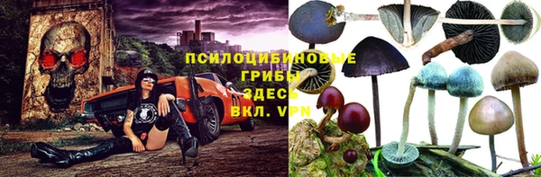 ешки Абдулино