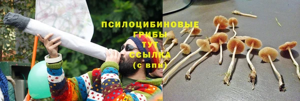 твердый Абинск