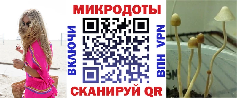 Псилоцибиновые грибы Cubensis KRAKEN рабочий сайт Луза купить наркотики цена