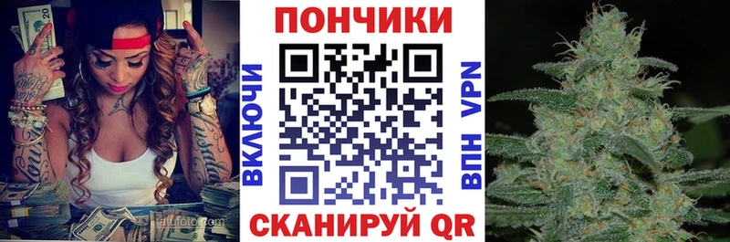 где можно купить наркотик  Луза  Шишки марихуана Ganja 